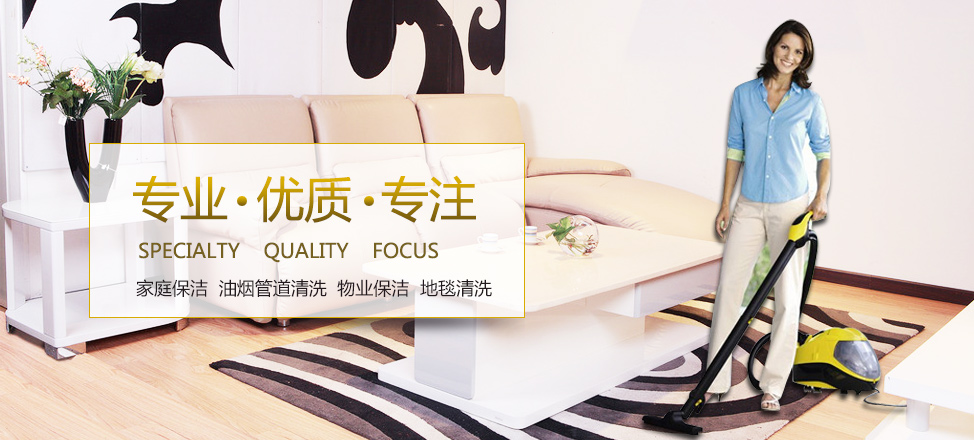 政府平台公司发展思路